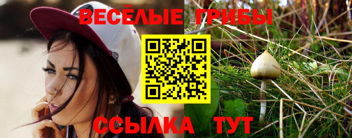 Псилоцибиновые грибы GOLDEN TEACHER  Вход с VPN  Шелехов 